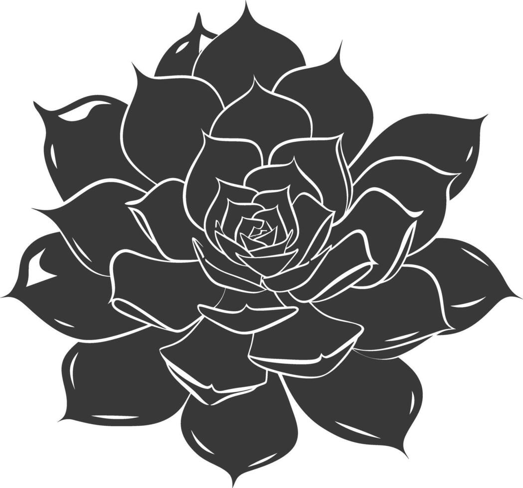 Silhouette Succulent plant black color only vector