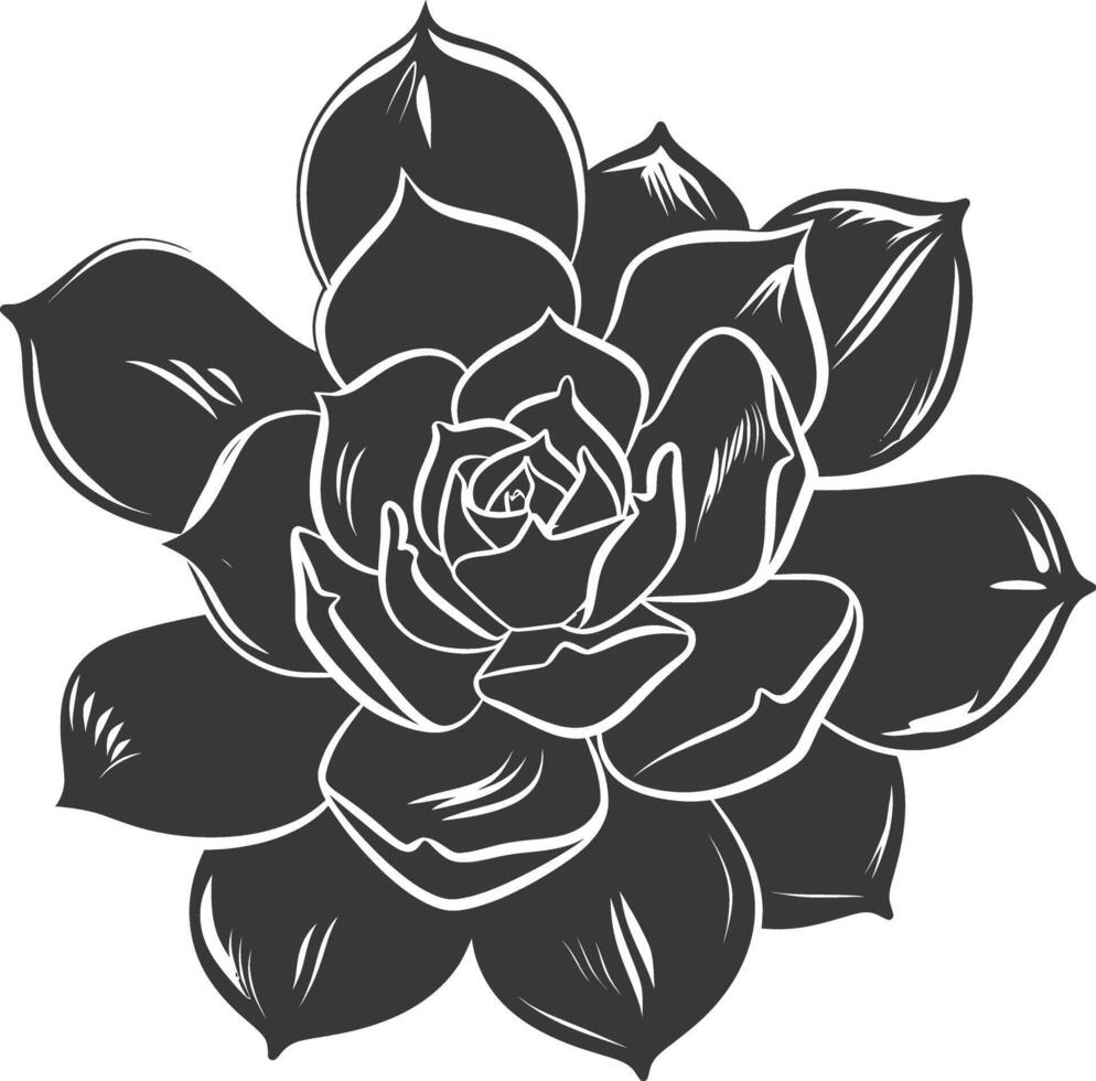 Silhouette Succulent plant black color only vector