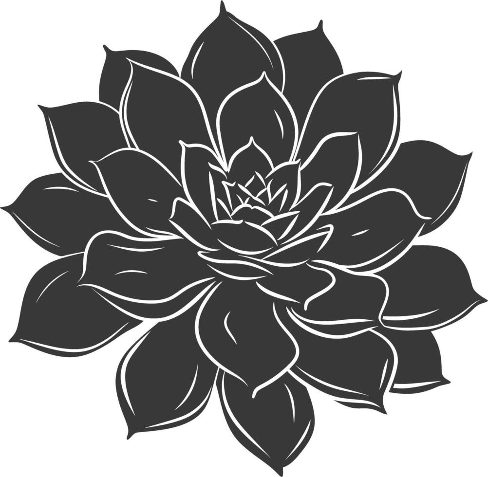 Silhouette Succulent plant black color only vector
