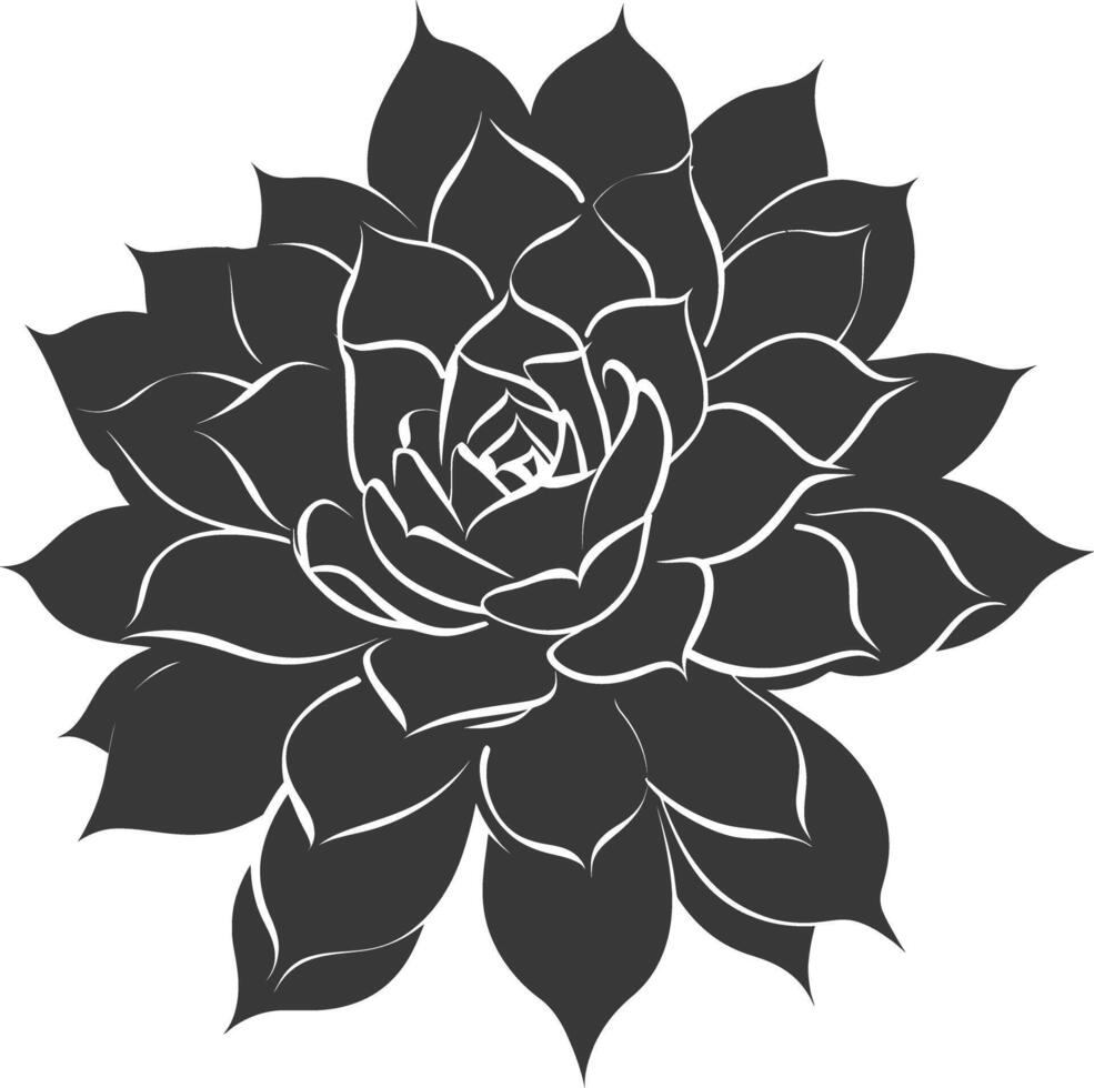 Silhouette Succulent plant black color only vector