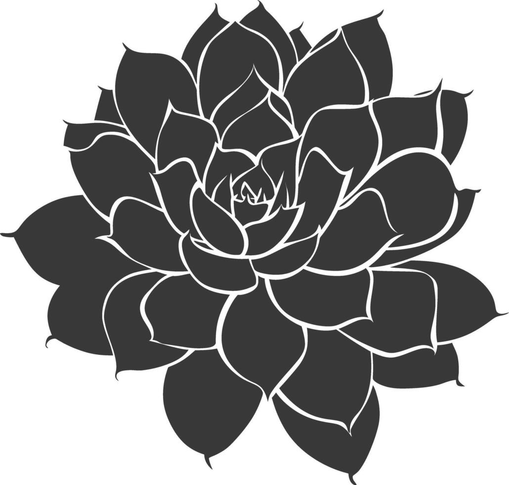 Silhouette Succulent plant black color only vector