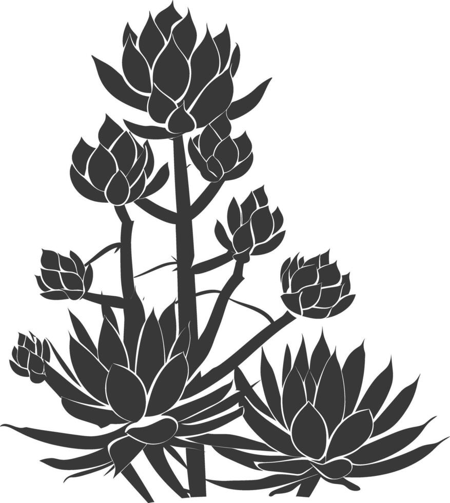 Silhouette Succulent plant black color only vector