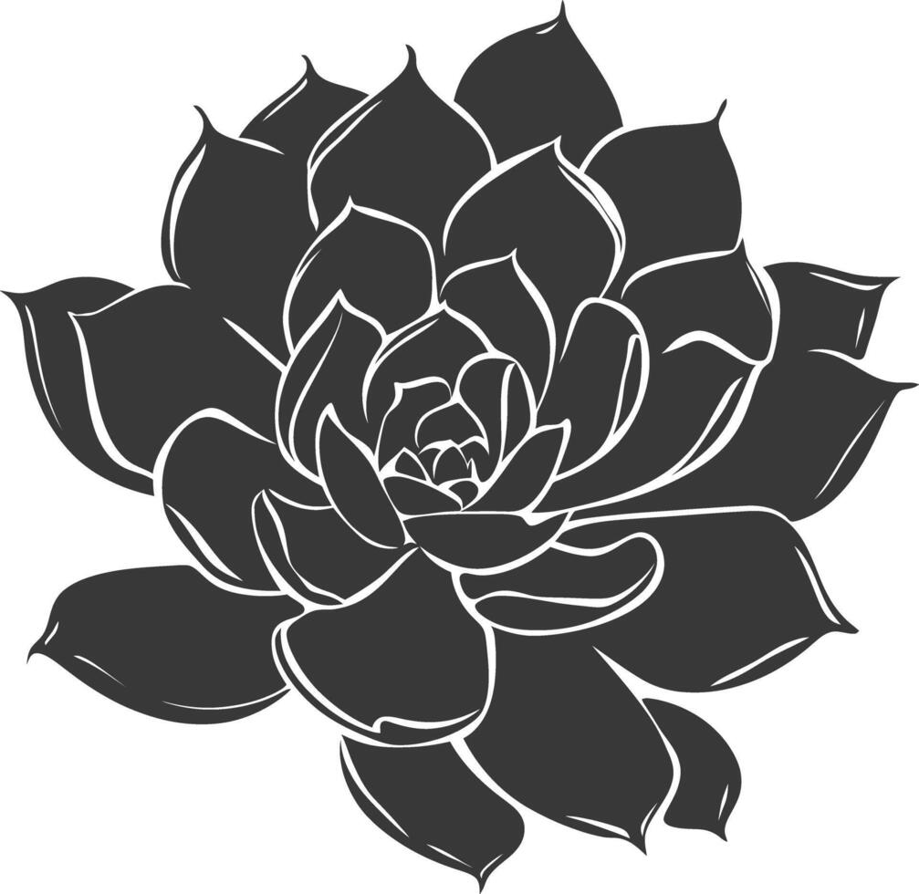 Silhouette Succulent plant black color only vector