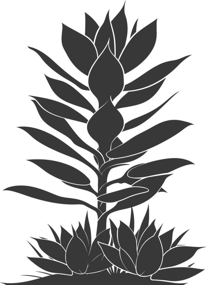 Silhouette Succulent plant black color only vector
