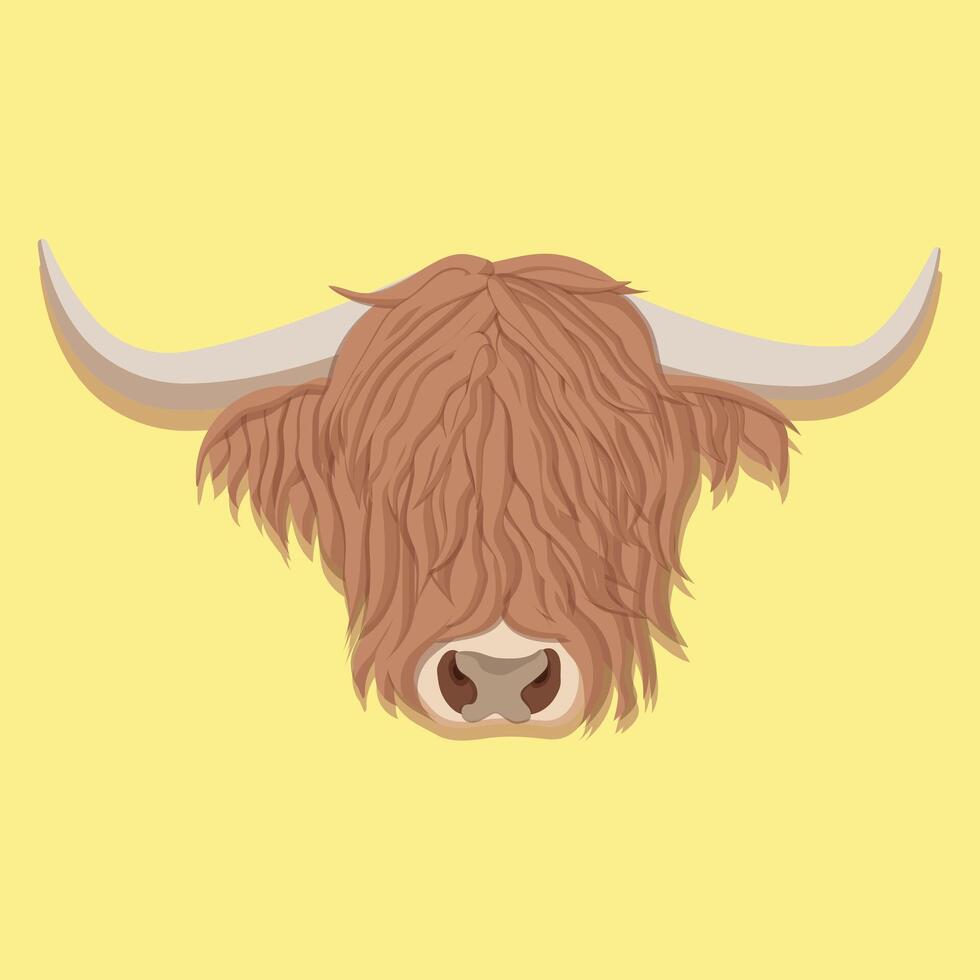 Scotish Highland Cow vector