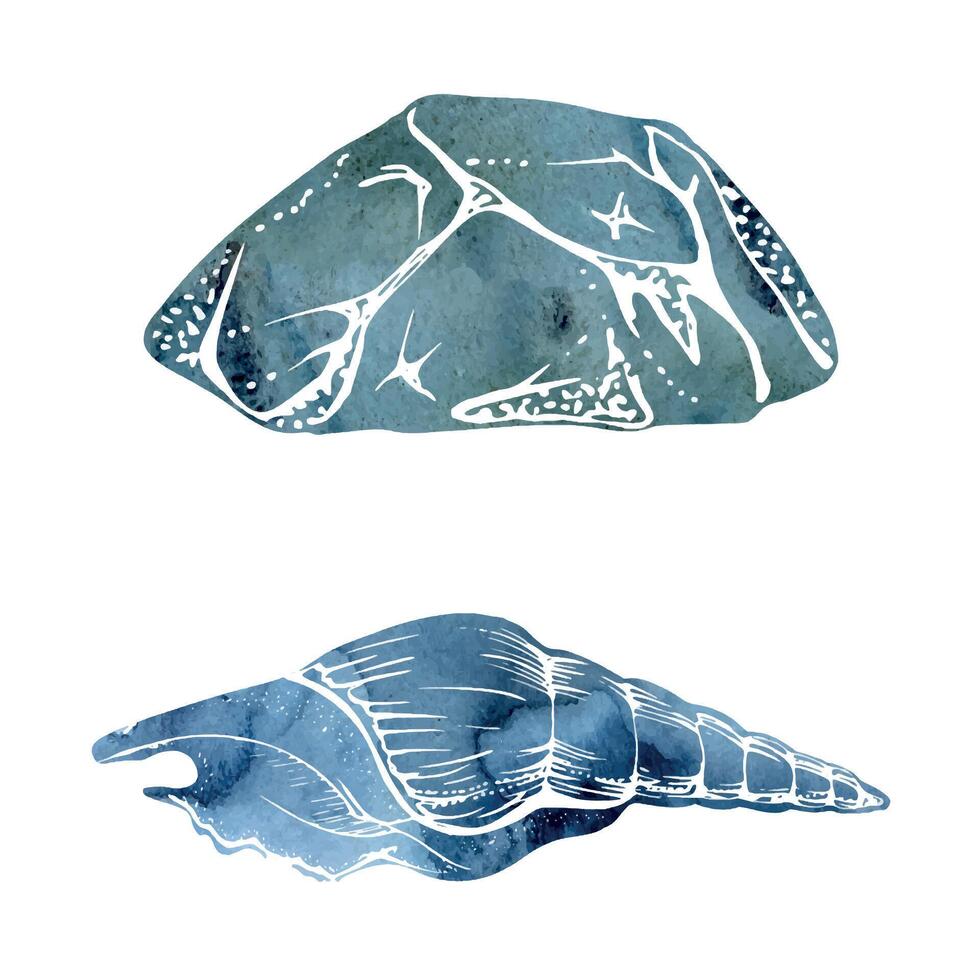 Watercolor and ink hand drawn marine life, sea ocean underwater creatures. fish, shells algae seaweed. Single object illustration, stylized, isolated on white. Zoo shop, aquarium, cosmetics, resort vector