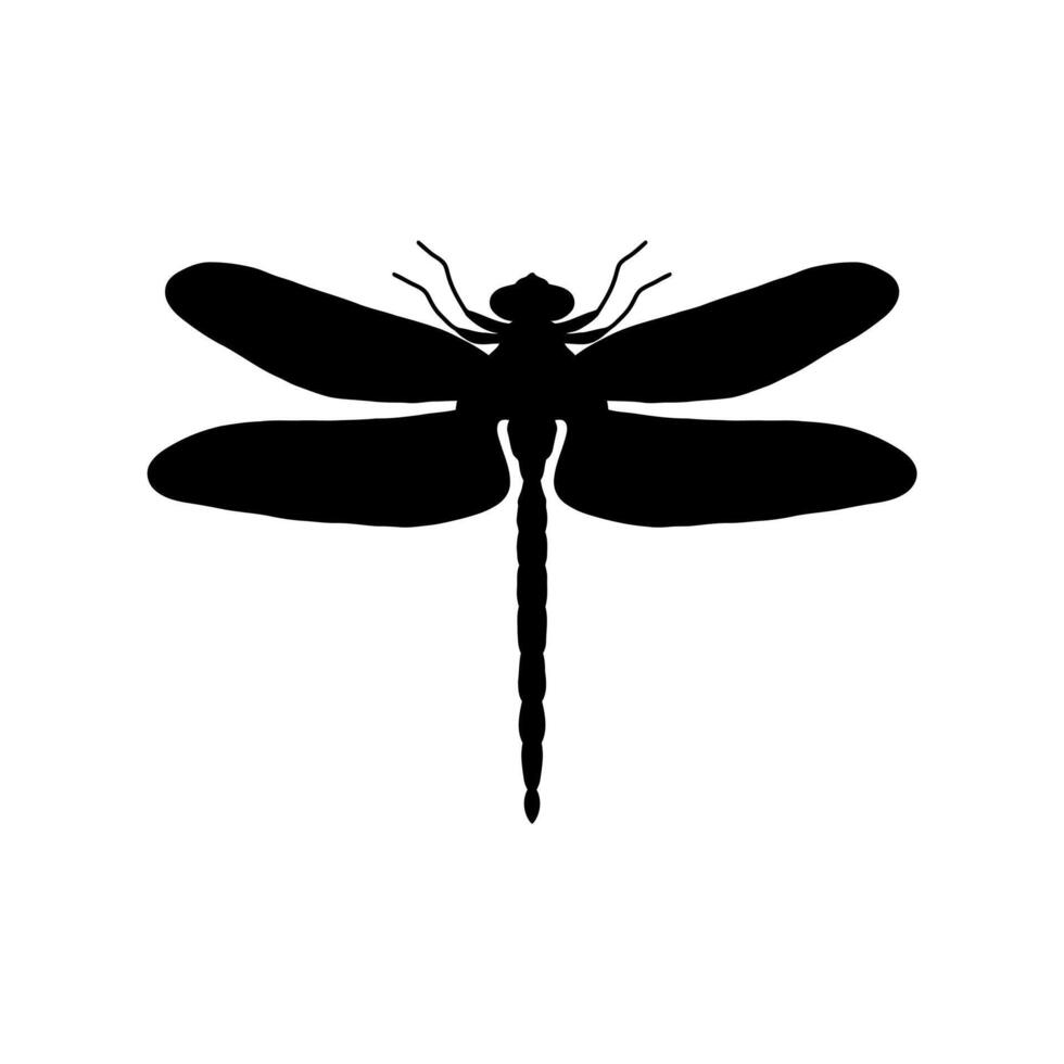 libélula negro y blanco silueta ilustración. negro y blanco realista mano dibujo de libélula insecto en blanco antecedentes vector