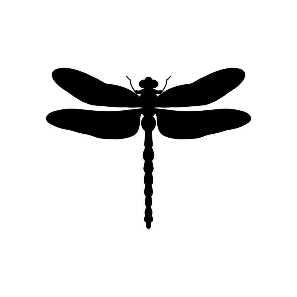 dragonfly black and white silhouette illustration. black and white Realistic hand drawing of dragonfly insect on white background vector