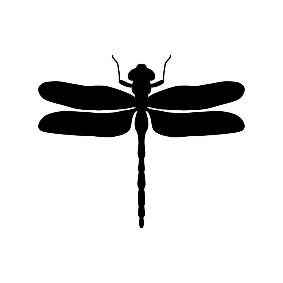 dragonfly black and white silhouette illustration. black and white Realistic hand drawing of dragonfly insect on white background vector