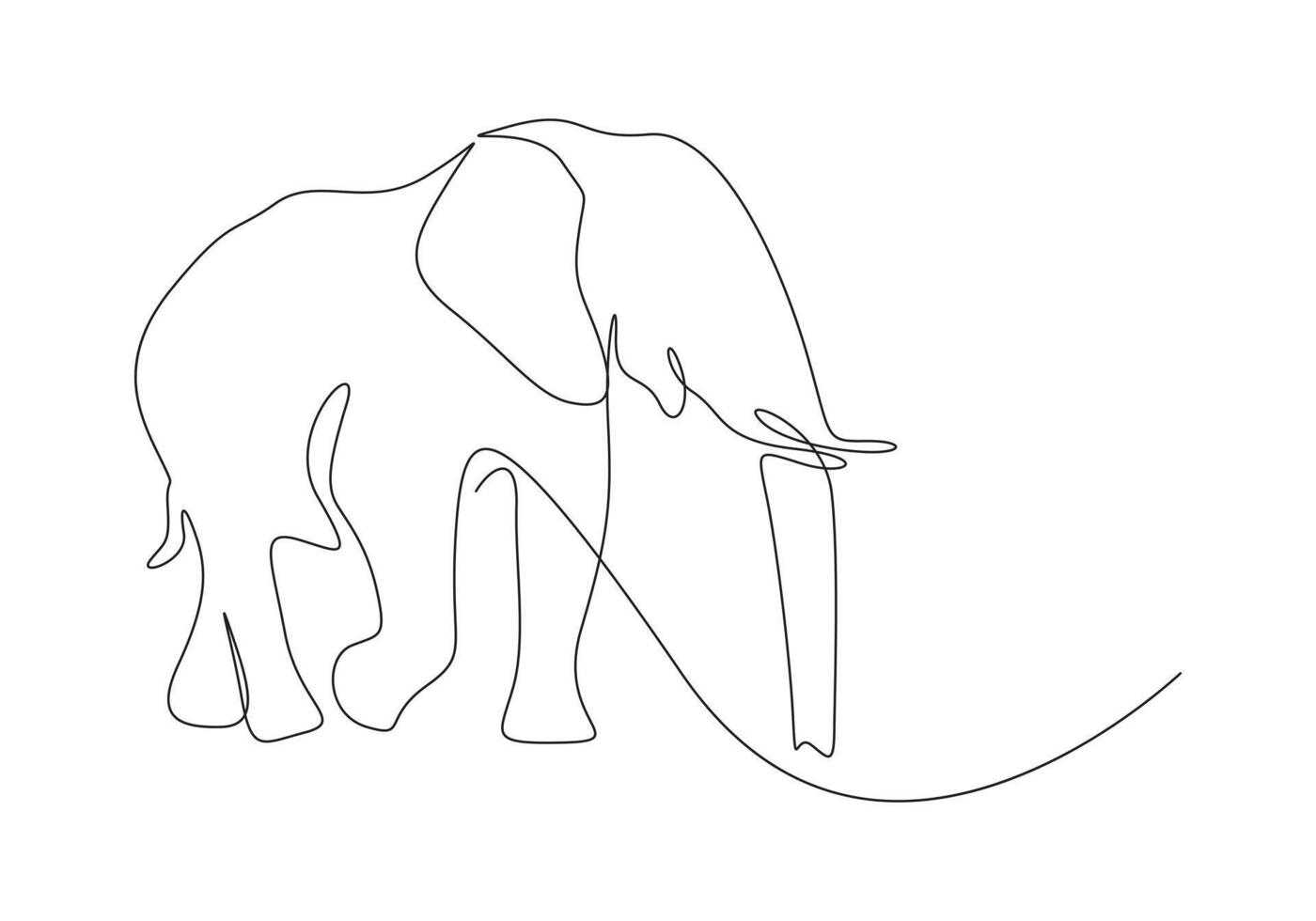 Elephant continuous single line drawing pro illustration vector