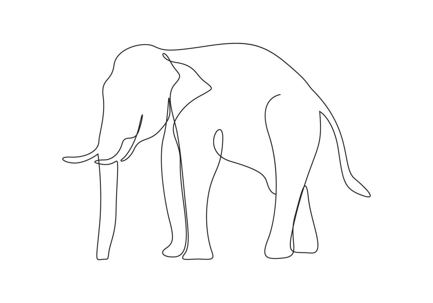 Elephant continuous single line drawing pro illustration vector