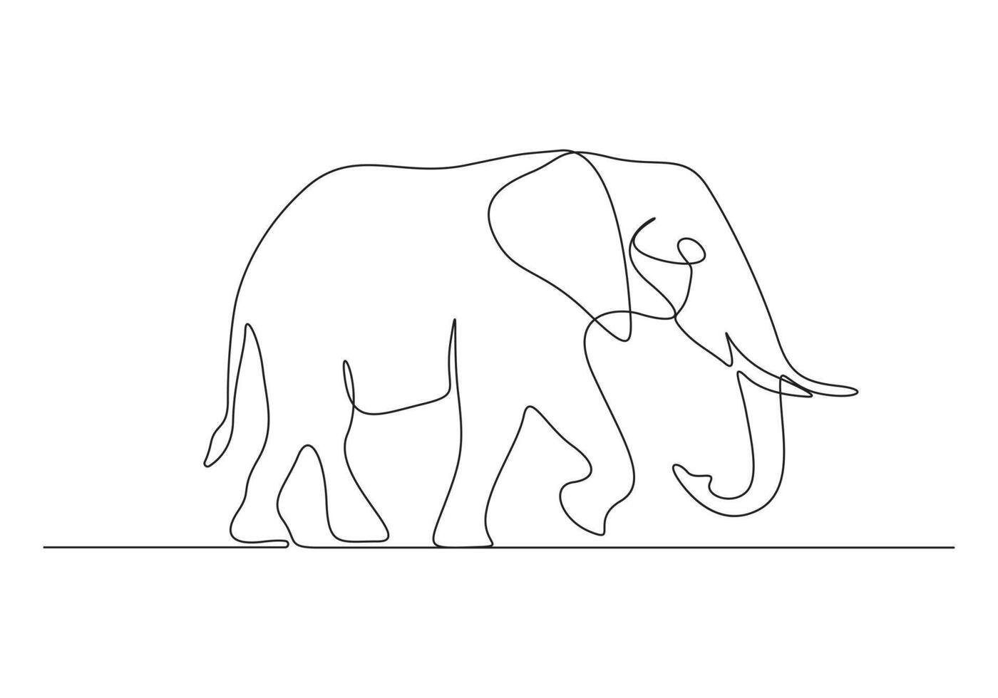 Elephant continuous single line drawing pro illustration vector