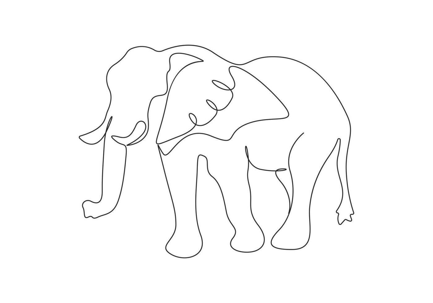 Elephant continuous single line drawing pro illustration vector