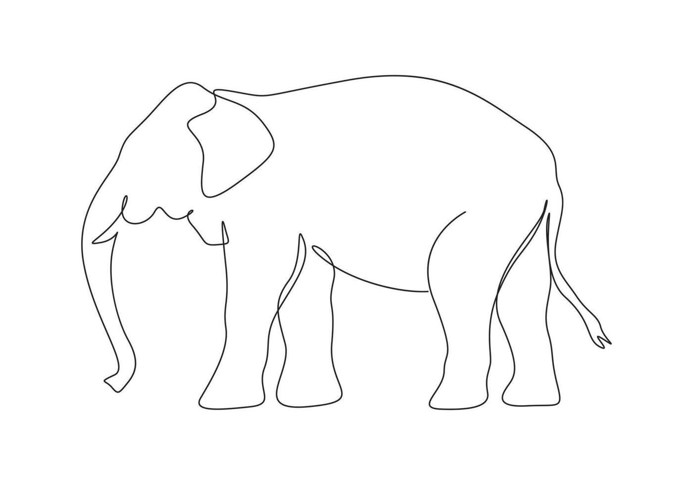 Elephant continuous single line drawing pro illustration vector