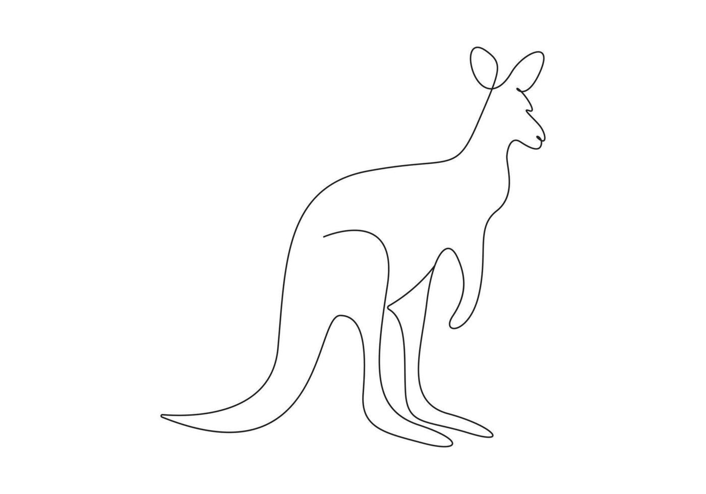 Kangaroo in one continuous line drawing pro illustration vector