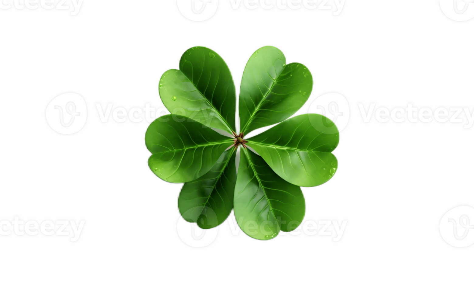 Cloverleaf on White Transparent Background png