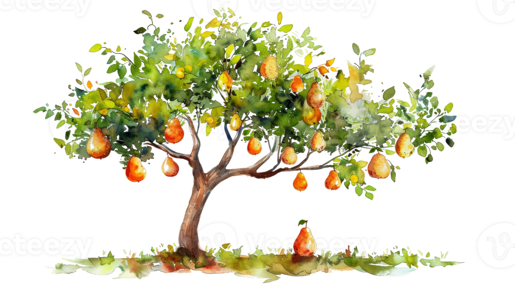 Pear Tree in Watercolor on isolated Transparent background. Format png