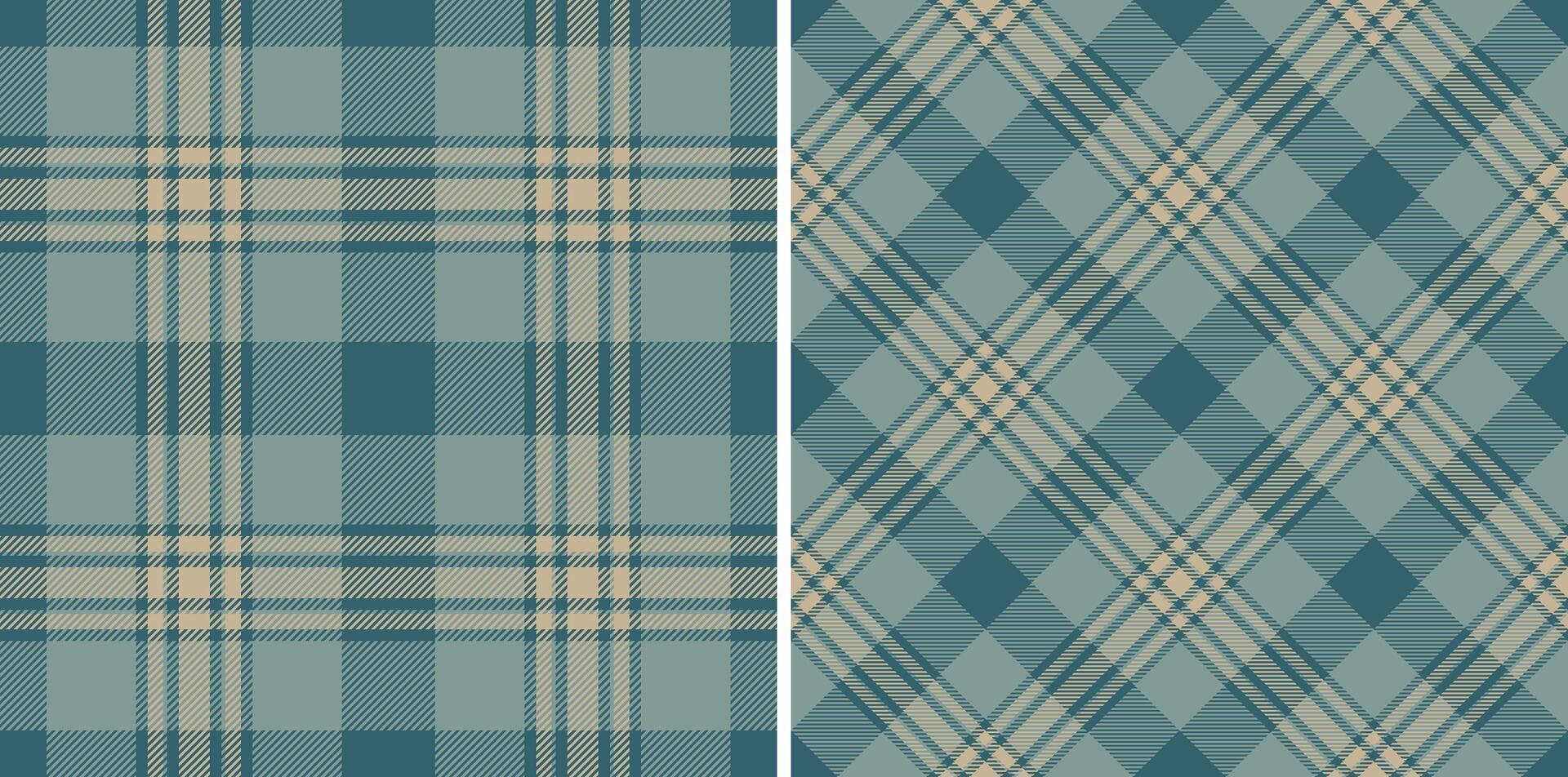 Fabric check of pattern textile texture with a tartan background plaid seamless. vector
