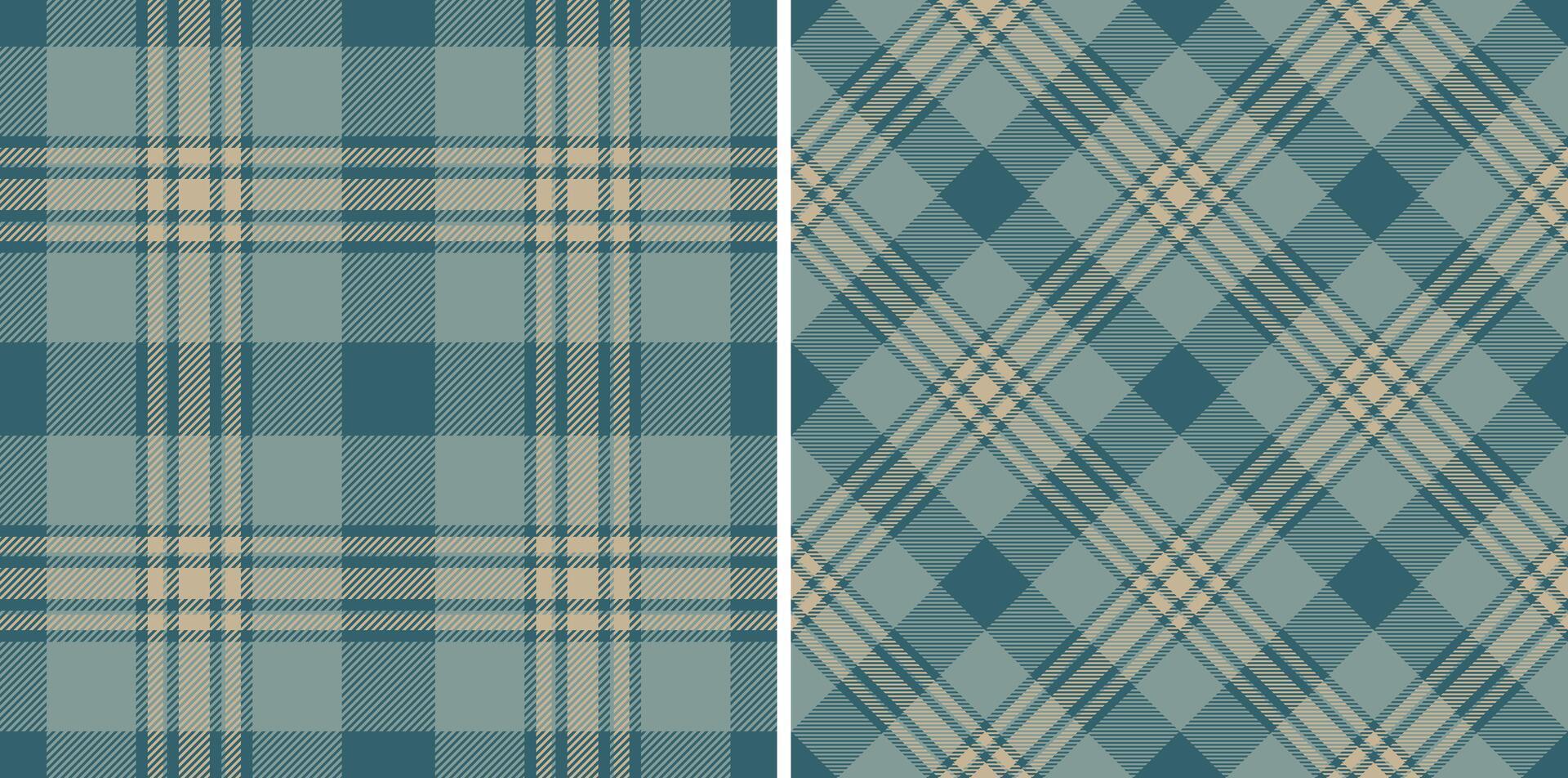 Fabric check of pattern textile texture with a tartan background plaid seamless. vector