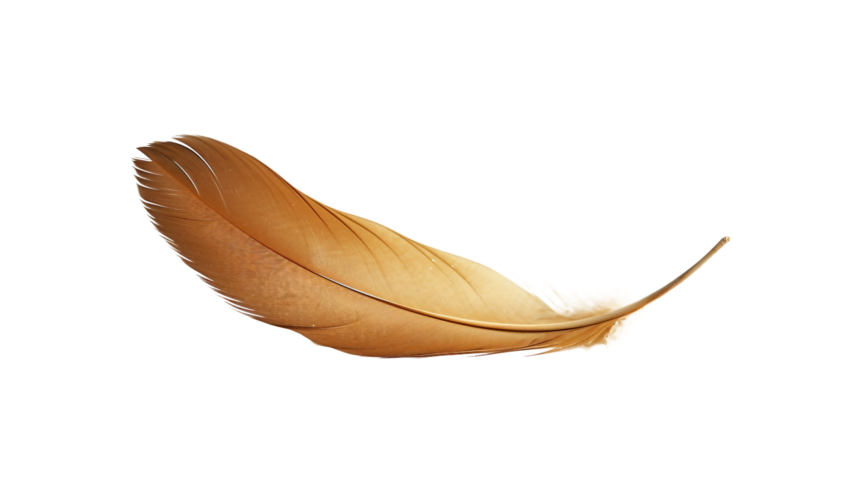 Chimera Feather Quill, on transparent background. Format png