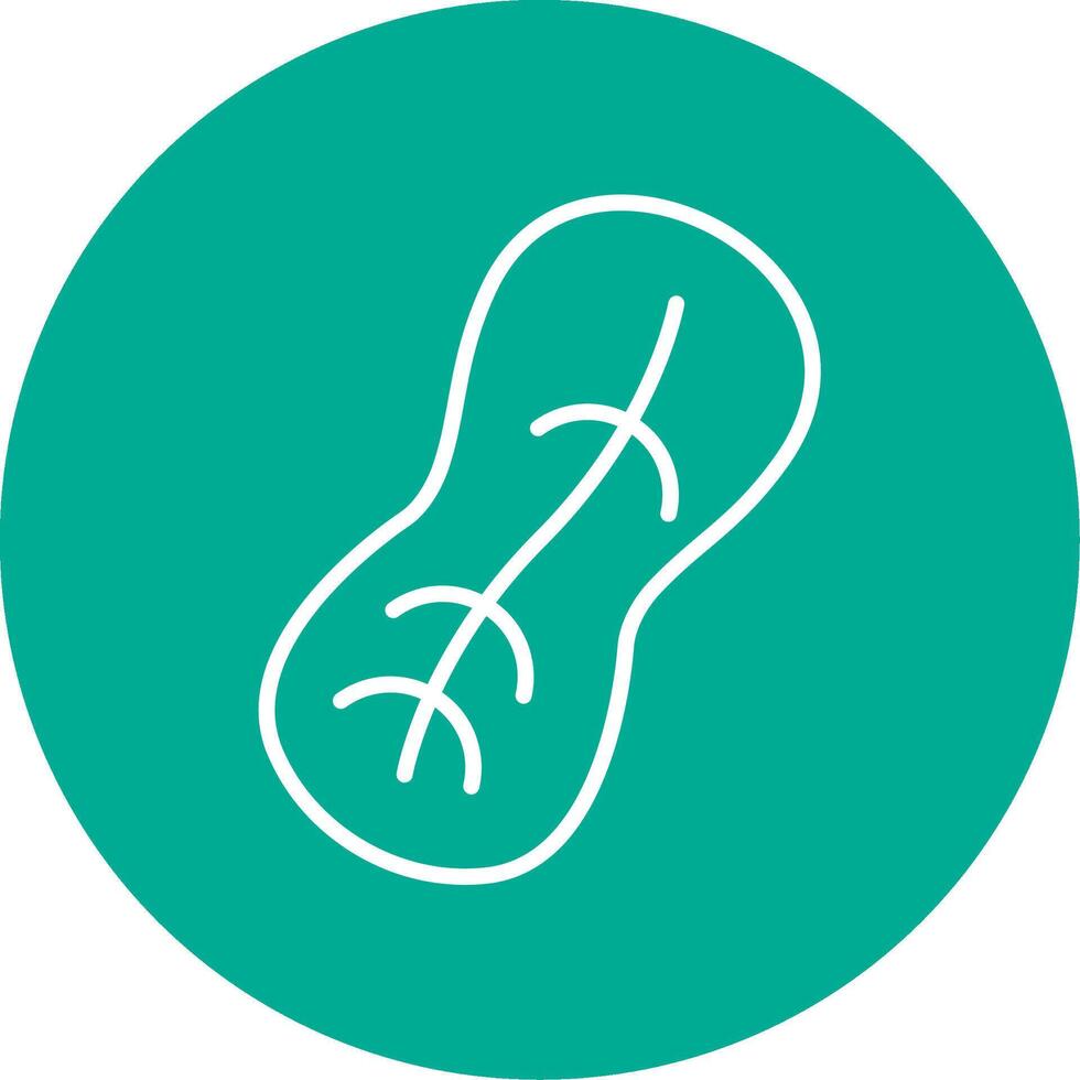 Peanut Multi Color Circle Icon vector