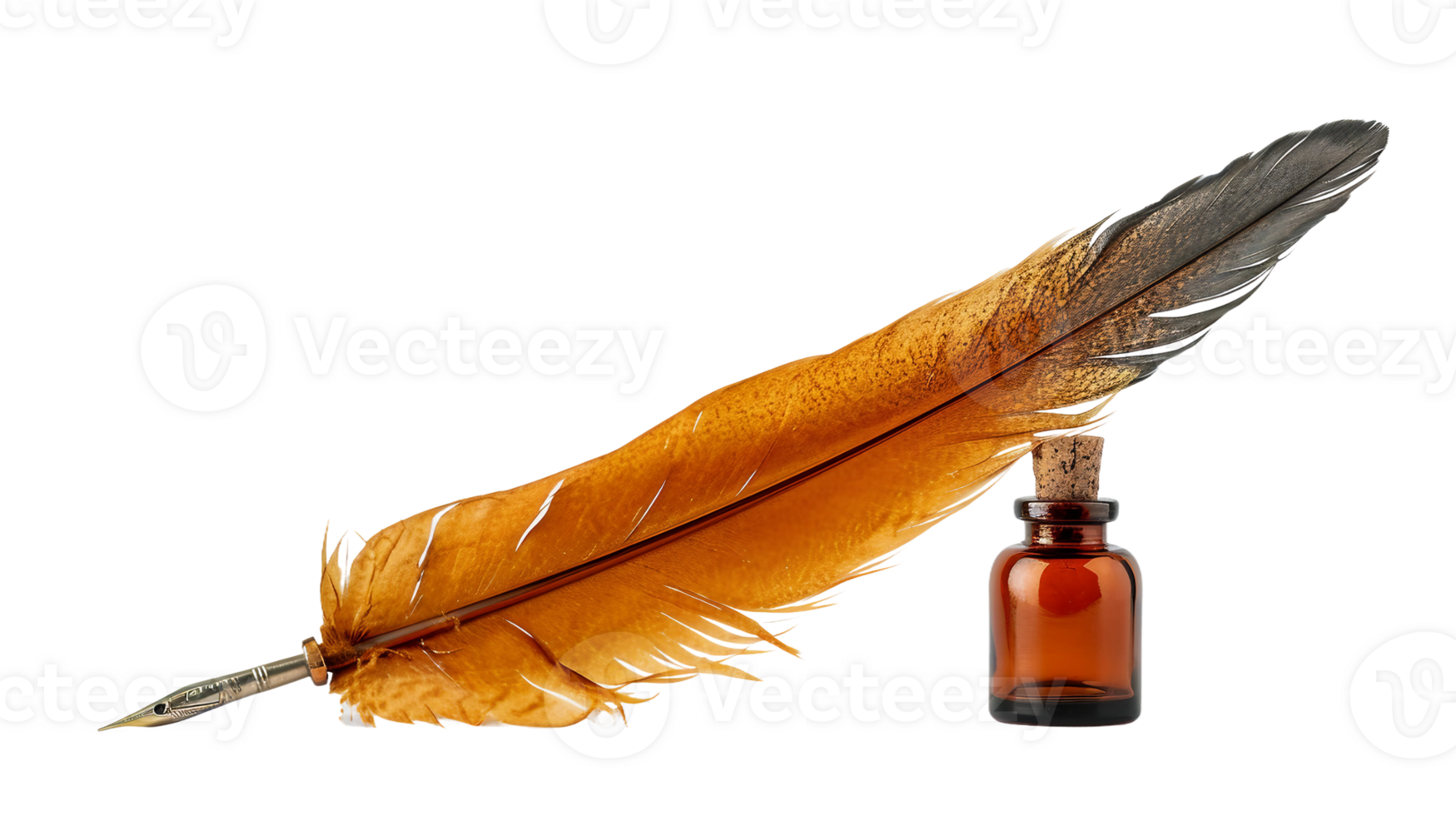 Quill Pen Photography On Transparent Background 43766751 PNG Quill Pen Photography On Transparent Background Png