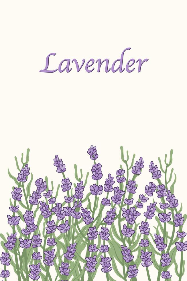 Trendy botanical background with purple lavender flowers at the bottom. Template concept for postcards, banners, social media design, invitations, covers, wall art. vector