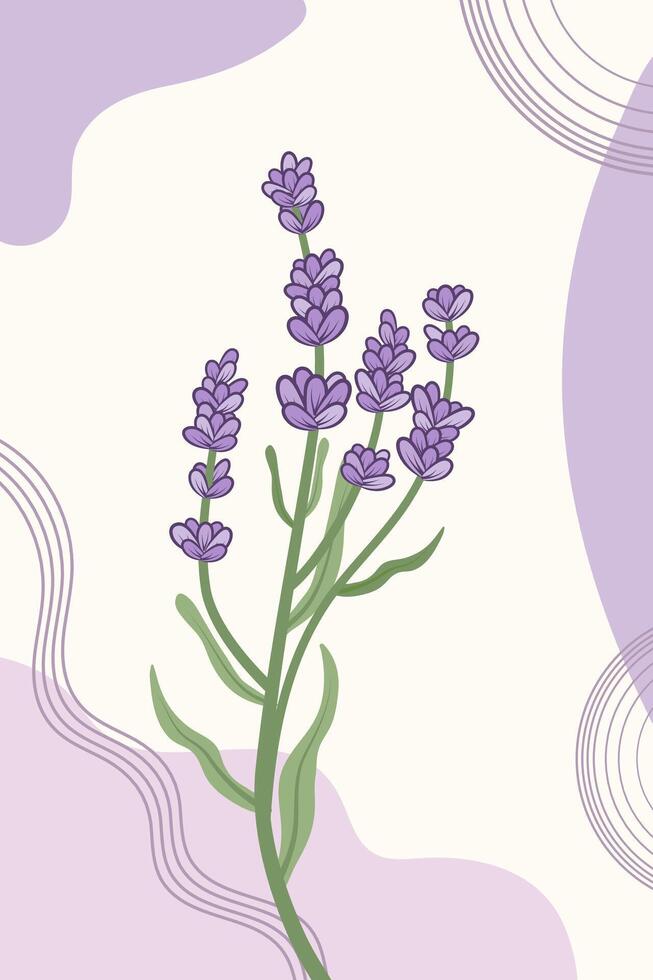 Trendy botanical wall art with lavender sprig. Concept template for greeting cards, banner, social media design, invitations, covers, wall art. vector