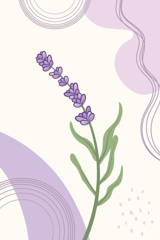 Trendy botanical wall art with lavender sprig and spots. Template concept for greeting cards, banner, social media design, invitations, covers, wall art. vector