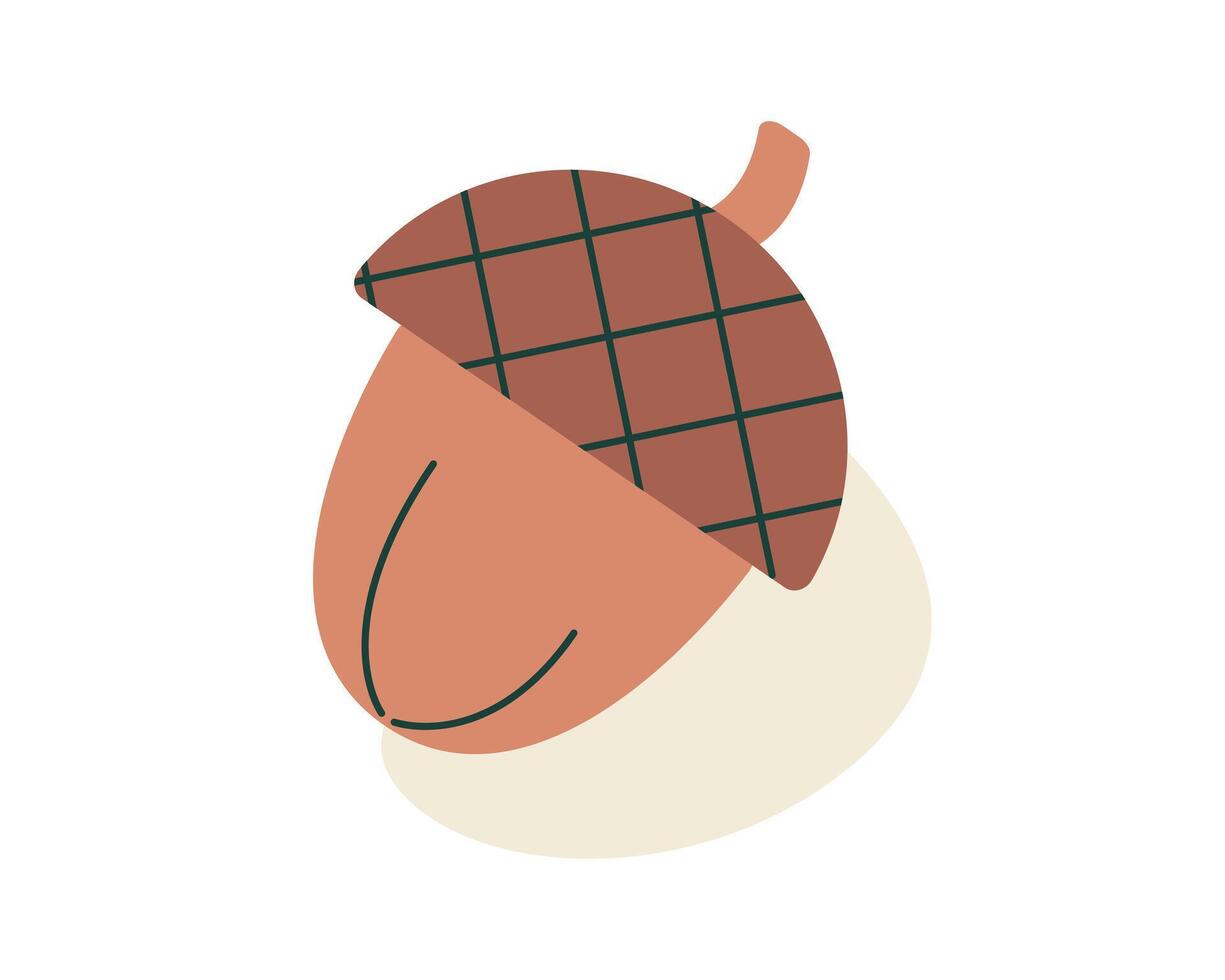 Simple image of an Acorn. Oak tree walnut. Acorn cap. Children drawing. Color image - brown and beige. Symmetrical icon. Isolated object. illustration. vector