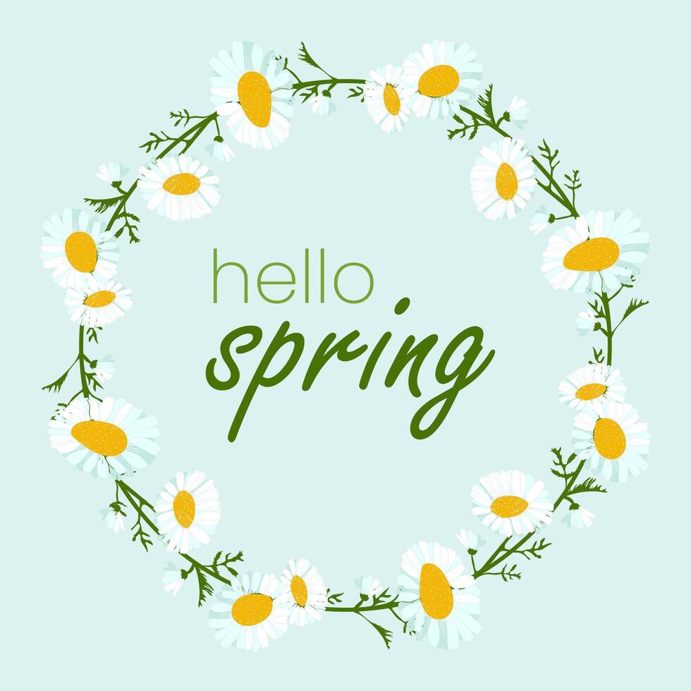 Hello spring in chamomile wreath. White flower heads, green leaves on a blue background. Field summer daisies. Congratulations text. Botany. Postcard and banner. illustration. vector