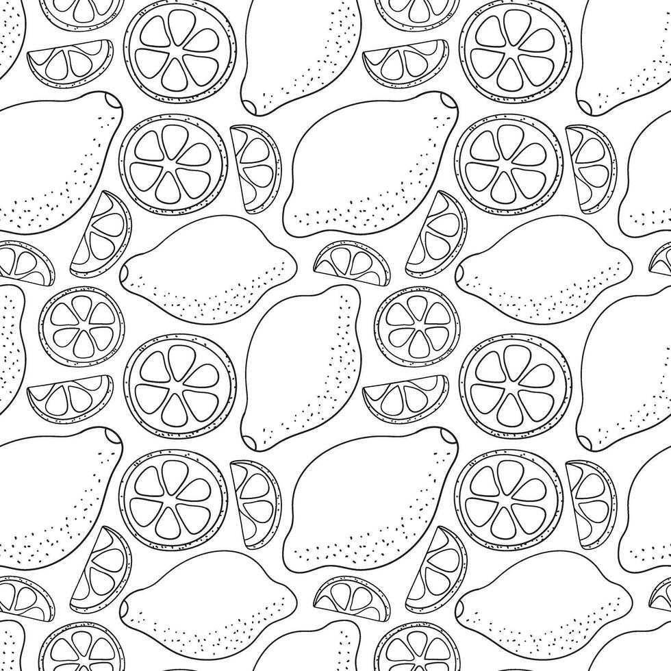 Pattern of contour lemons and a piece of circles. Citrus fruits on a white background. Harvest. Sour Healthy food. Seamless linear print. Hand drawn with pencil. illustration. vector