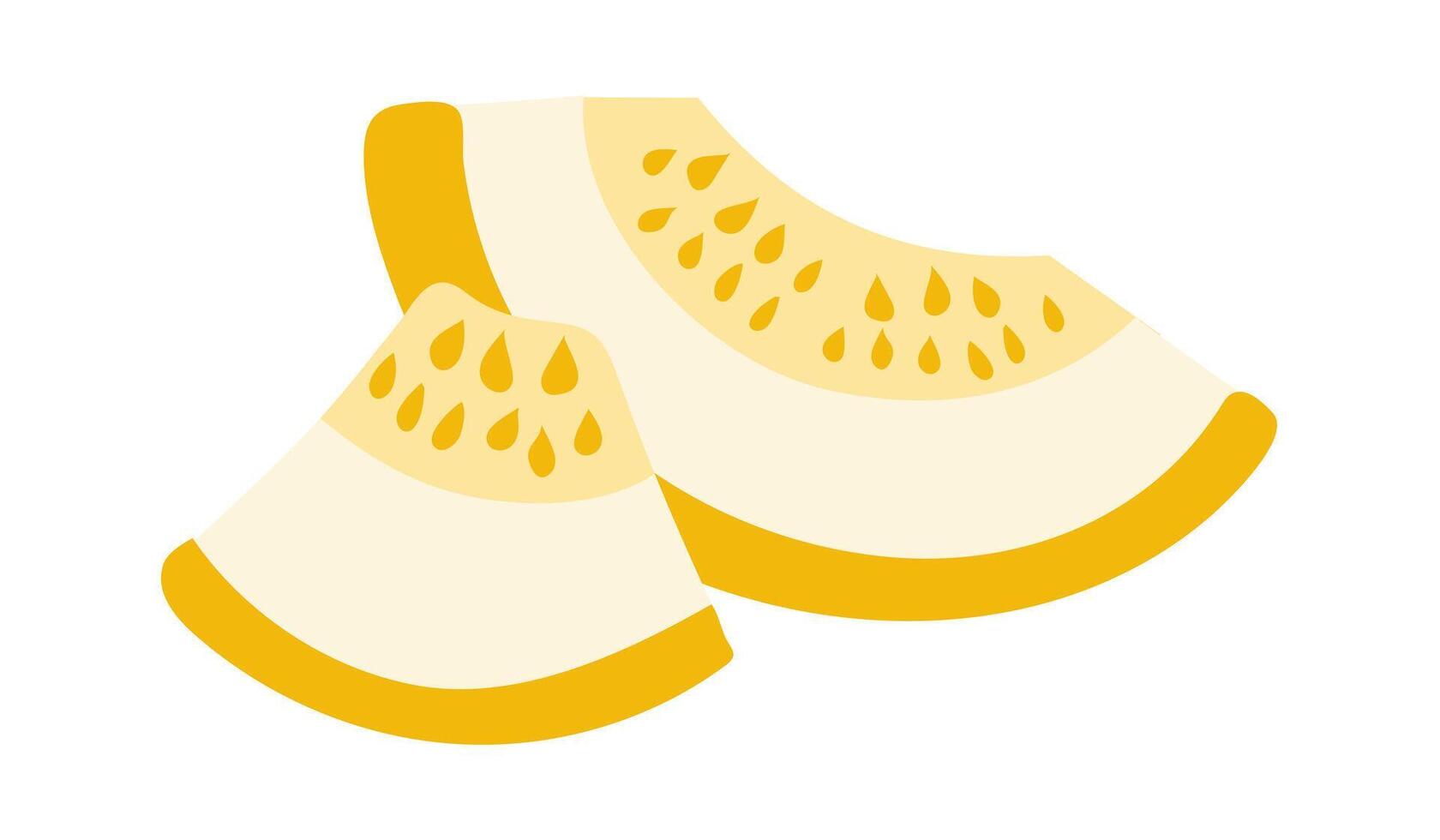 Quarter and half melon. Pieces of yellow melon. Summer fruit. Sweet pulp with seeds. Juicy Food. isolated object. Color image. illustration. vector