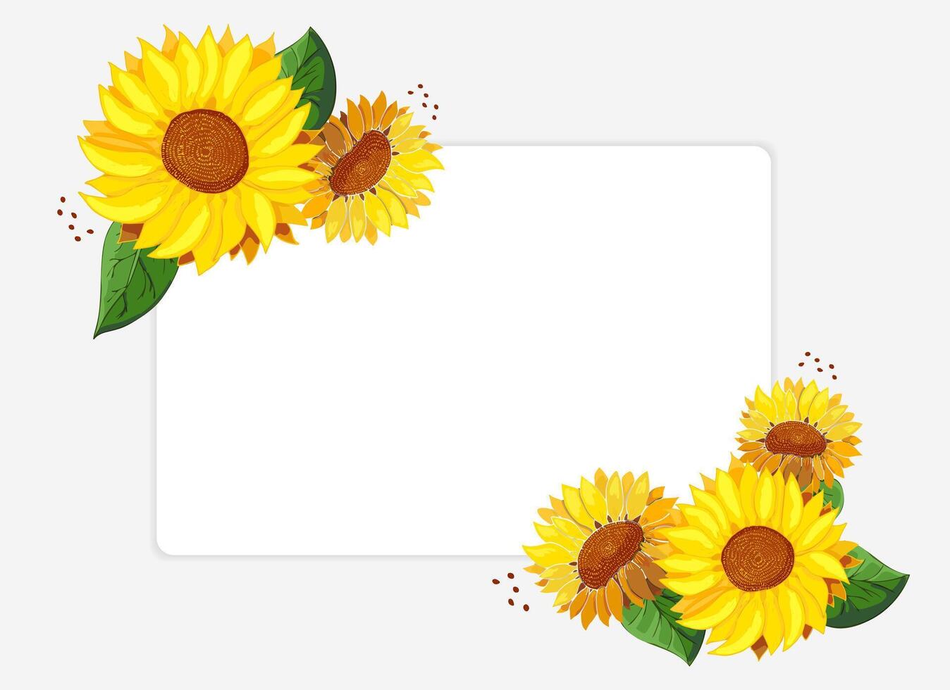 Sunflowers with frame for text. White invitation card template with place for text. Like watercolor. Border with summer bright wildflowers. Bouquet of heads of yellow flowers. illustration. vector