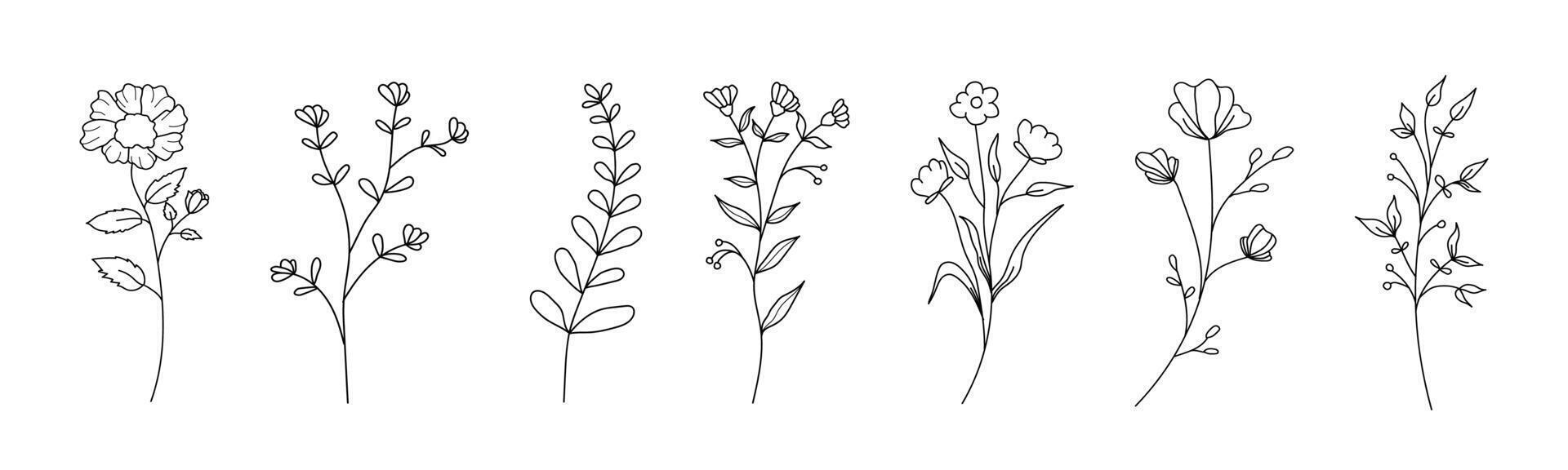 Floral branch set. Leaves and flowers decoration. Foliage boho decoration. vector
