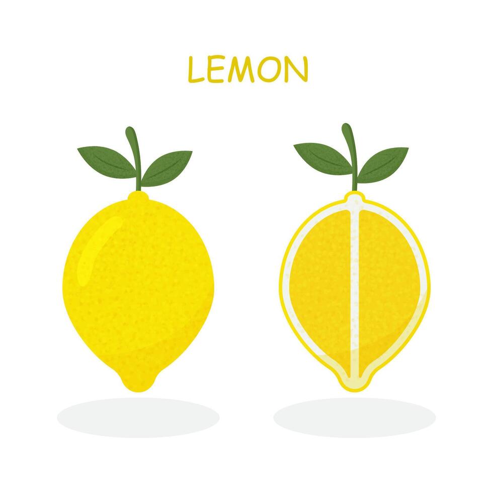 Fresh lemon fruits, collection of illustrations. vector