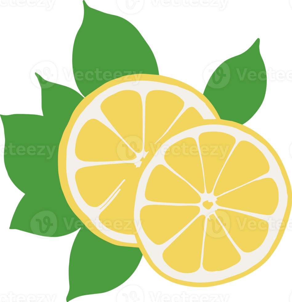 fresco Limone fette, isolato etichetta logo per cucinando, essenziale ingredienti, salutare cibo ricette, vegetariano, acida gusto, succoso frutta png