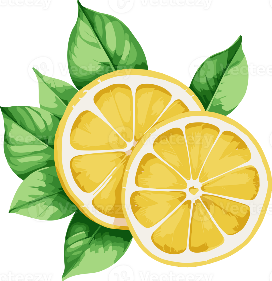 succoso acquerello Limone fette isolato cartone animato illustrazione, design elemento clipart per cucinando, essenziale ingredienti, salutare cibo ricette, vegetariano, acida gusto png