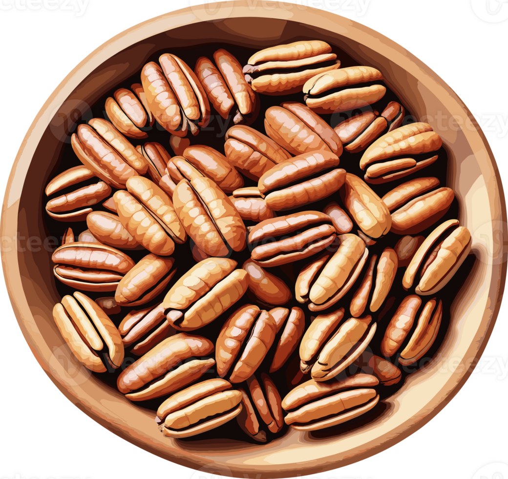 Watercolor styled pecan nuts in a wooden bowl isolated illustration, design element for cooking, healthy food, ingredients, vegetarian, nutrition, organic farm, carbs, antioxidant, clipart png