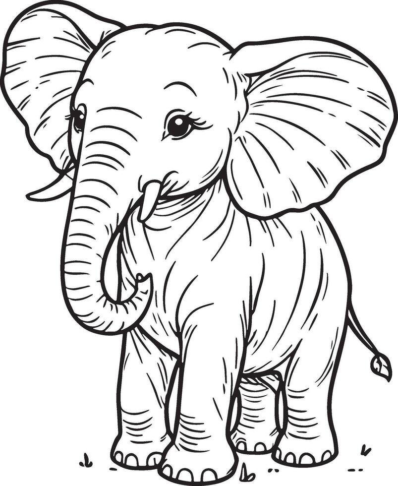 Elephant cartoon character, cute lines and colorful coloring pages. vector