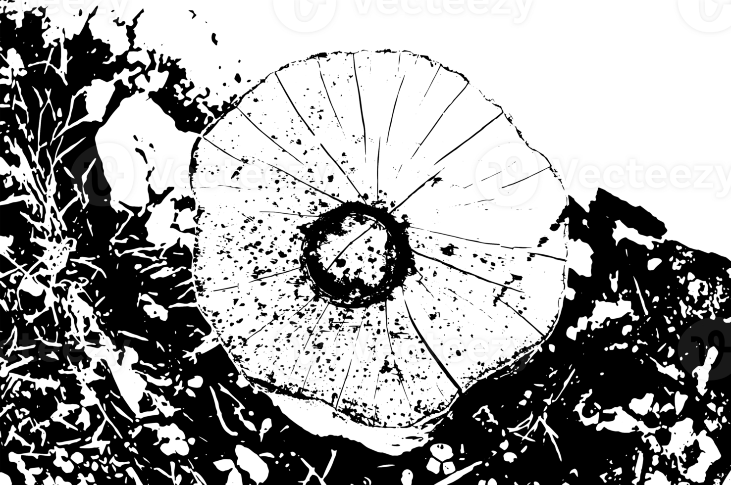 Rustic grunge texture with grain and stains. Abstract noise background. Graphic illustration with transparent background. png
