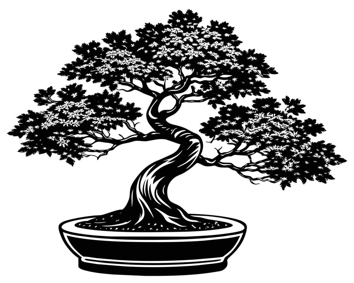 bonsai árbol aislado en blanco vector