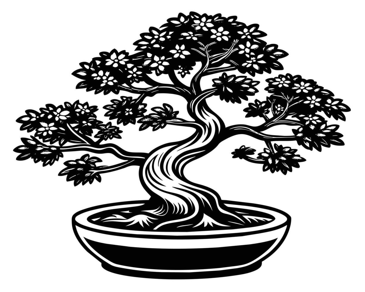 bonsai árbol aislado en blanco vector