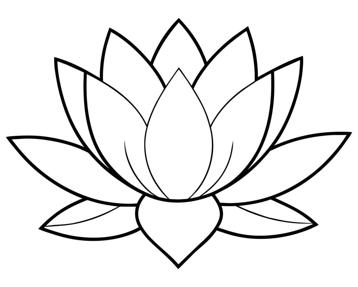 Lotus flower illustration vector