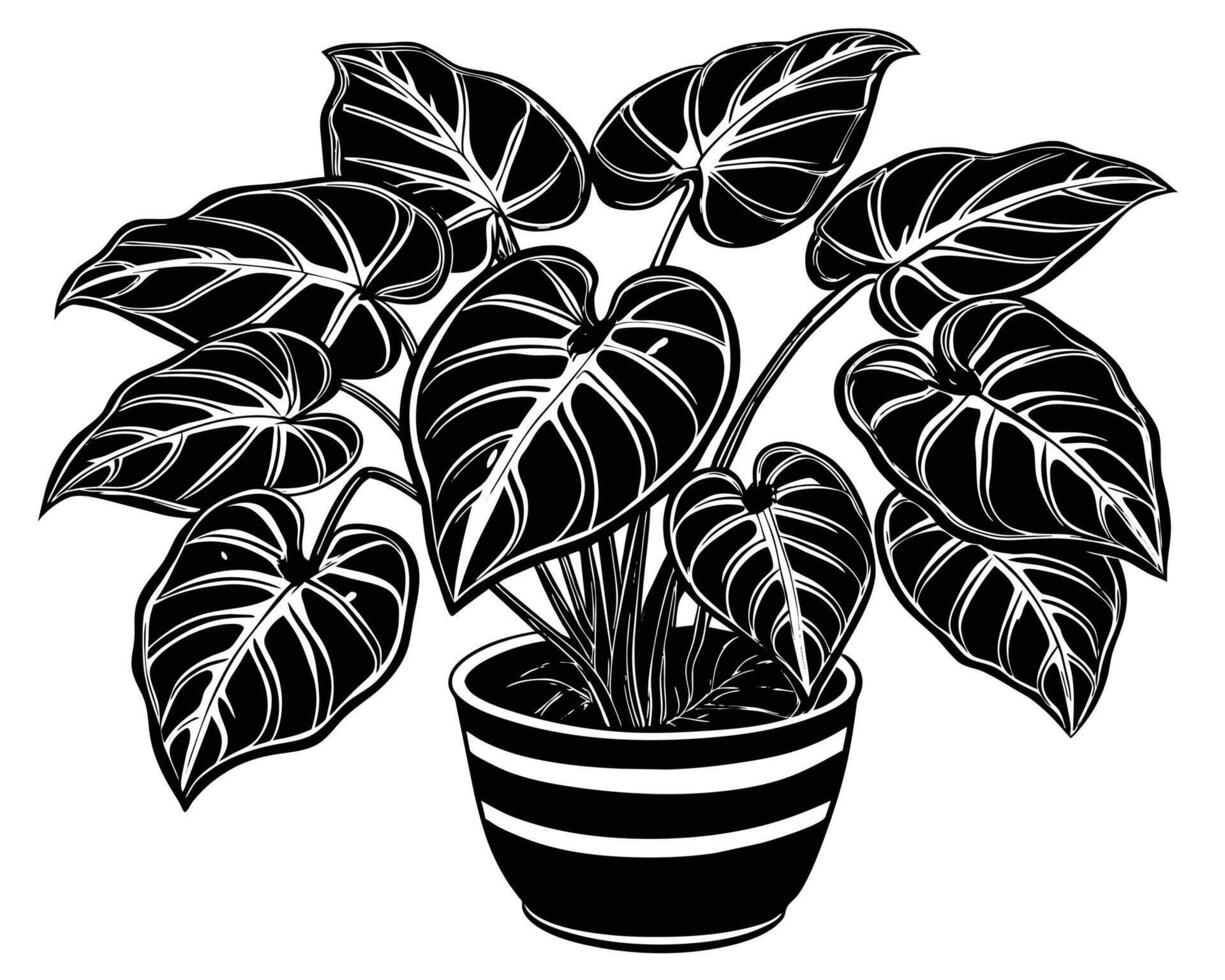 illustration of a plant vector