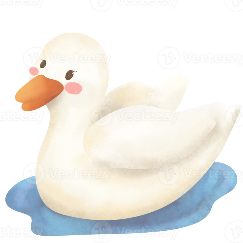 Duck in spring png