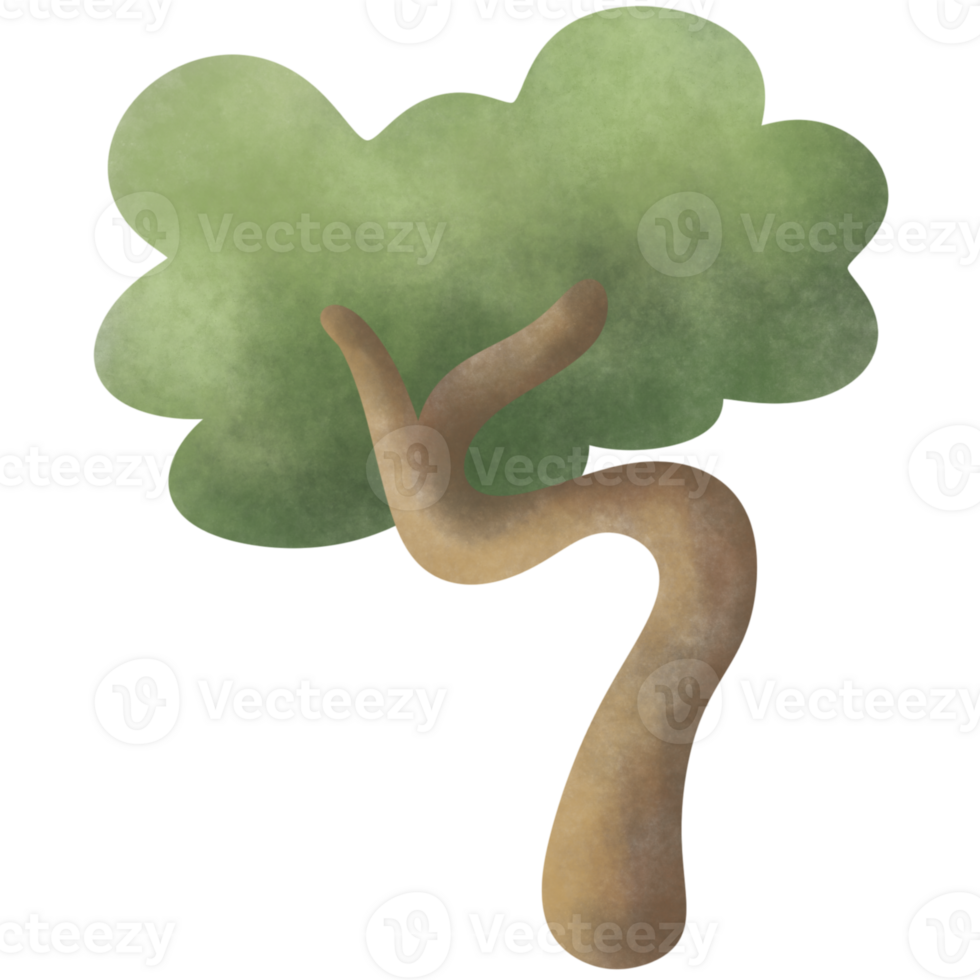 A tree in spring png