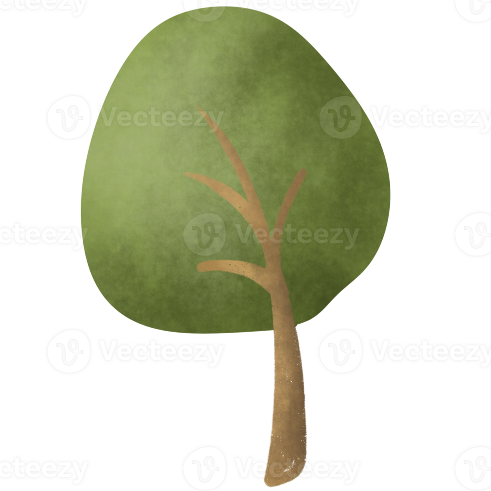 A tree in spring png