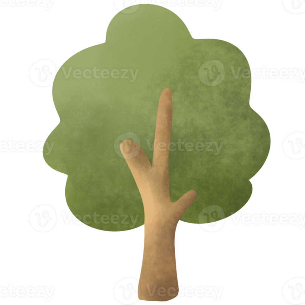 A tree in spring png