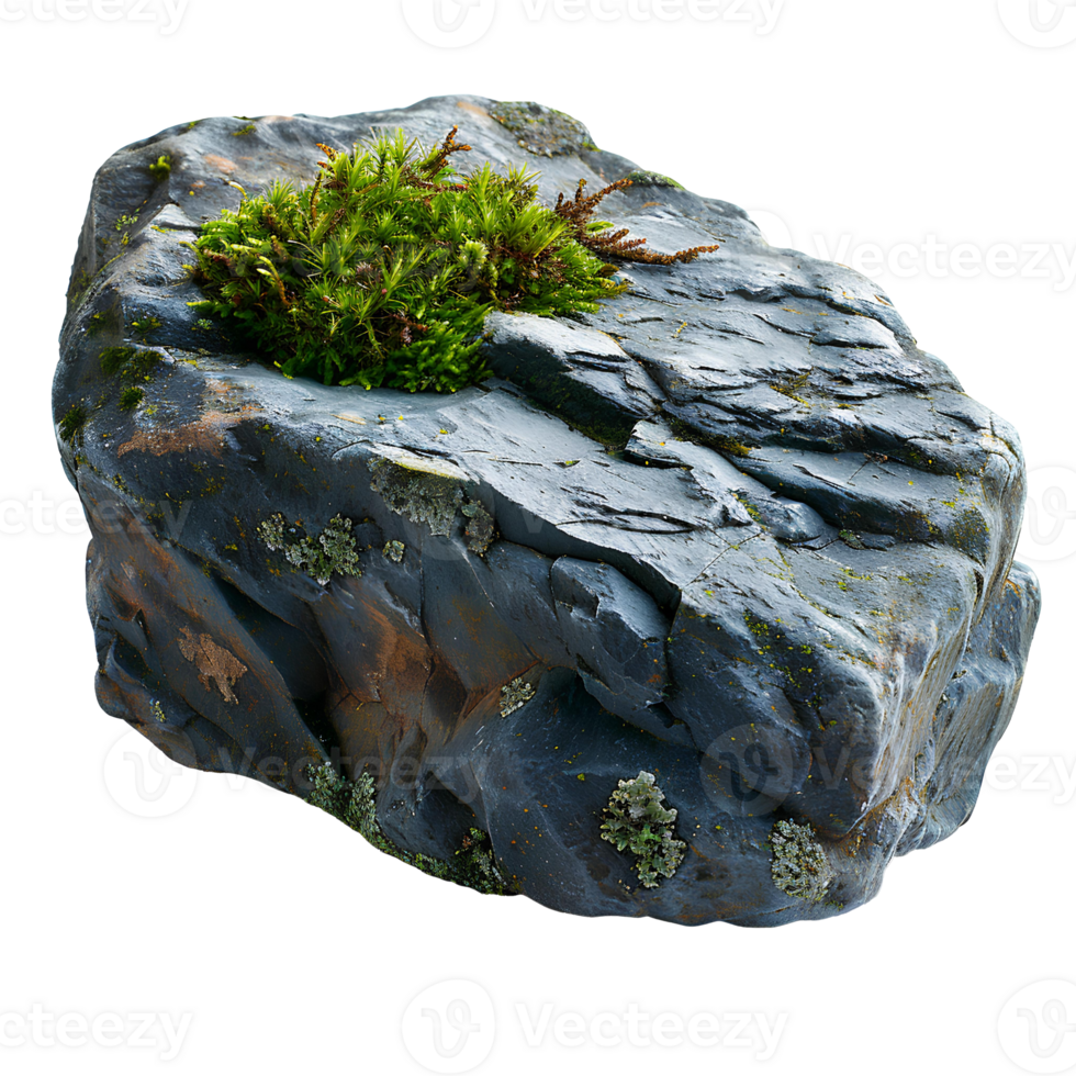 Green moss on a stone isolated. Rock with forest moss isolated. Rock with wild forest grass and nature png